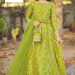 Embroidered Lehenga Choli