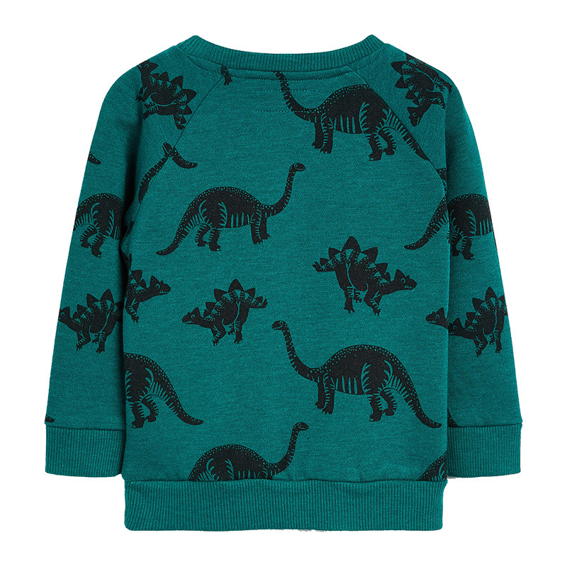 boys long sleeve sweater