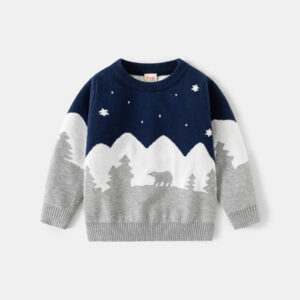 boy's sweater