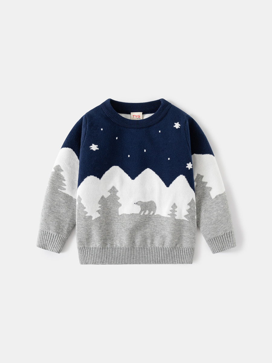 boy's sweater