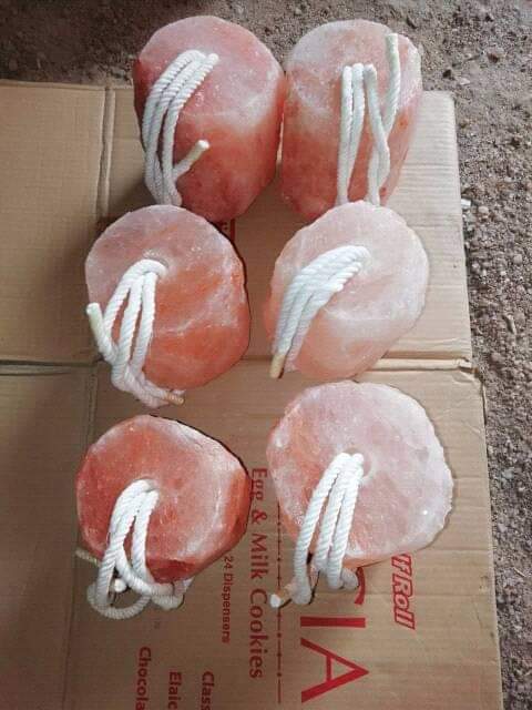 himalayan animal salt lick