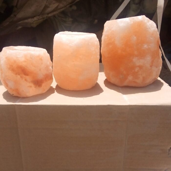 himalayan animal salt lick