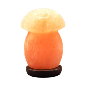 himalayan salt lamp fancy mushroom shape