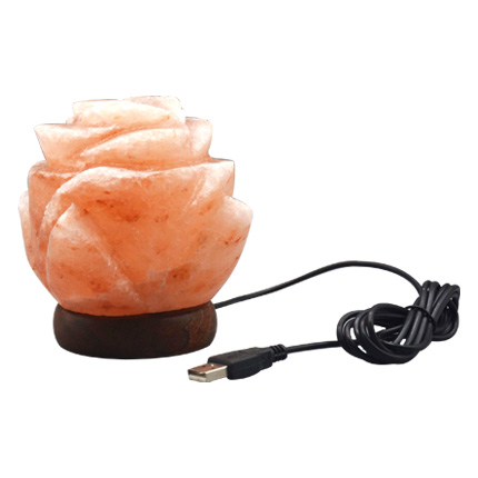 himalayan usb salt lamp flower bowl shape