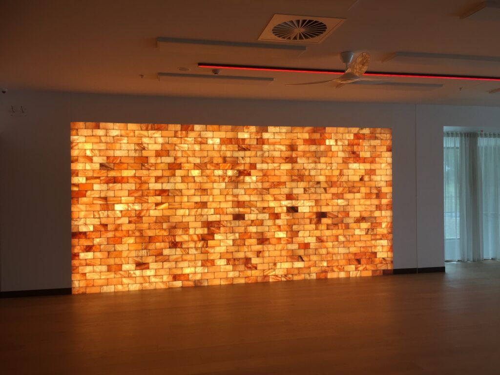 himalayan salt bricks and tiles
