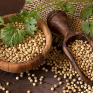 coriander seeds