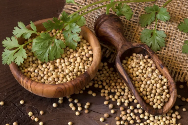 coriander seeds