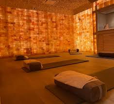 himalayan salt bricks and tiles