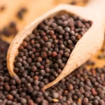 mustard seeds